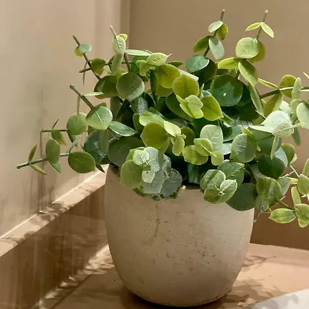 아파트 Charming With Private Garden & Pool