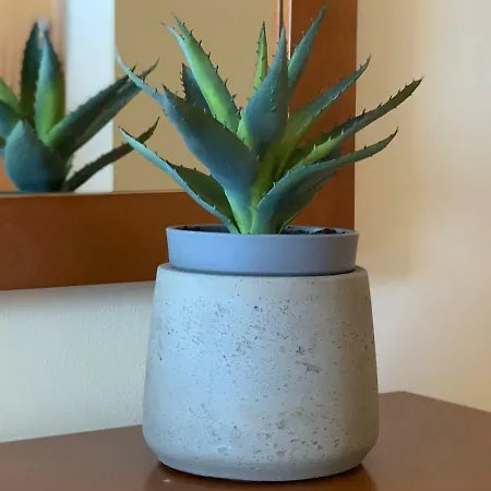 Charming With Private Garden & Pool