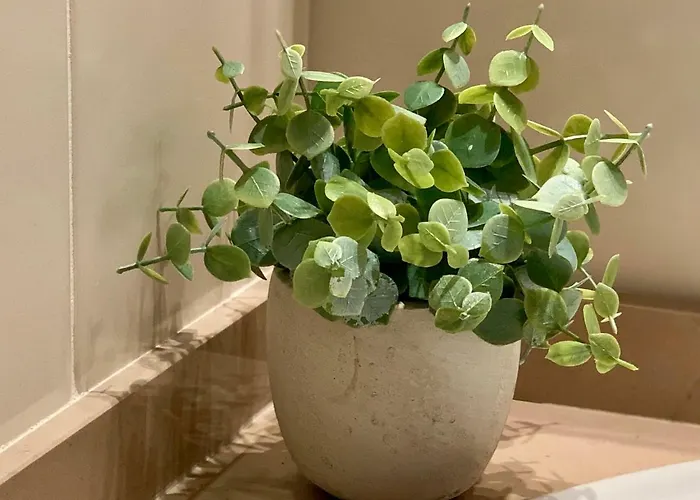 Apartament Charming With Private Garden & Pool