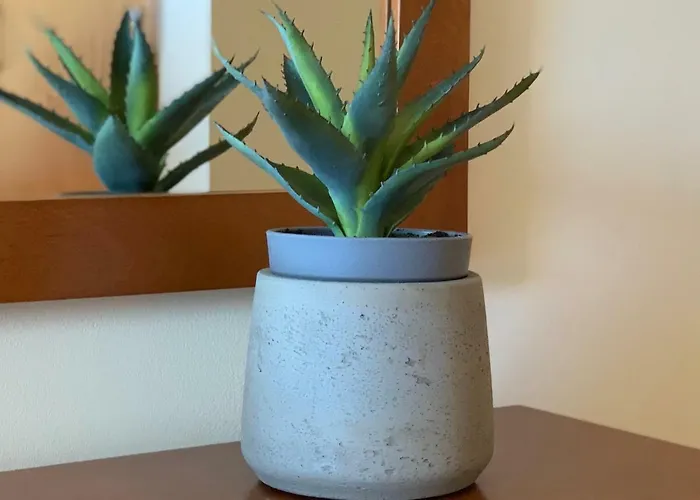 Charming With Private Garden & Pool